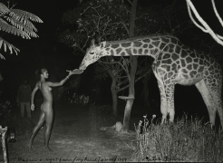 Peter Beard