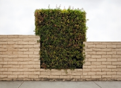 Brad Moore