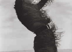 Herb Ritts