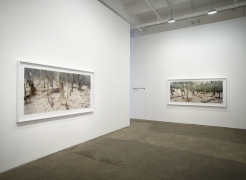 Rosemary Laing