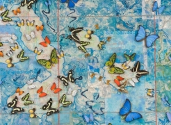 Jane Hammond