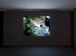 Ana Mendieta
