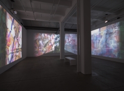 Carolee Schneemann