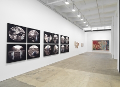 Thematic Exhibition