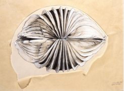 Jay DeFeo