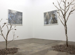 Jean Shin