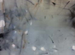 Jane Ansell