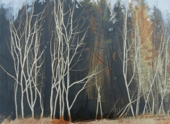 Anna King