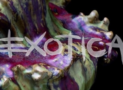EXOTICA: Exotic Influences on European Decorative Arts, 1875-1925