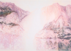 Daniele Genadry