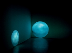 Regina Silveira: Works