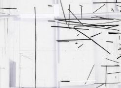 Eve Aschheim: Drawings and Photograms