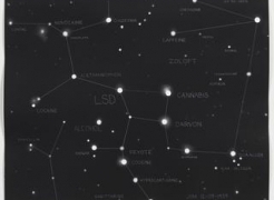 Fred Tomaselli at MASS MoCA