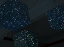 Fred Tomaselli