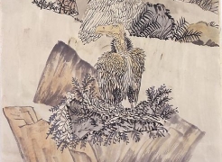 Yun-Fei Ji