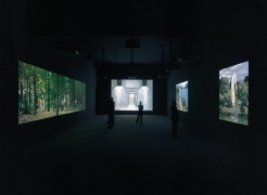 Bill Viola: Going Forth By Day