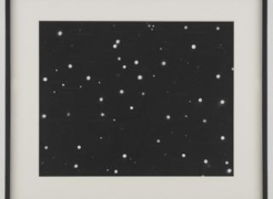 Fred Tomaselli at the Metropolitan Museum of Art
