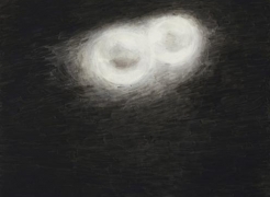 SHI ZHIYING