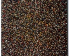 Fred Tomaselli at the Toledo Museum of Art