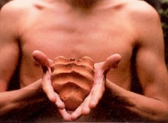 Realm of the Senses