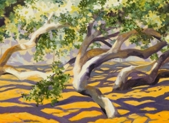 ROBIN GOWEN , Oak Dance, Hope Ranch,