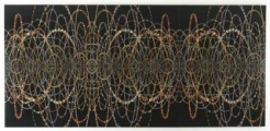 Fred Tomaselli at The Rubin Museum of Art