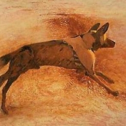 Nathan Oliveira