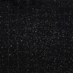 Vija Celmins