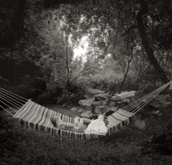 Infinite Summer