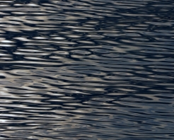 Carolyn Marks Blackwood
