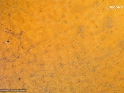 Stu Murphy - Australian Photography Awards