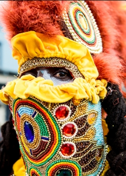TRIBE