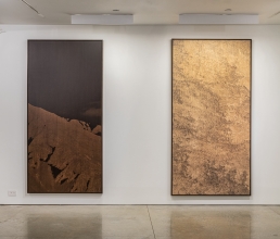 Clifford Ross: Prints on Wood