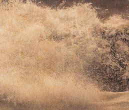 Wood Waves