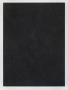 Glenn Ligon - Stranger 75