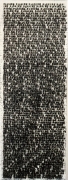 Glenn Ligon - passing