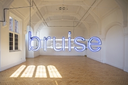 Glenn Ligon, Camden Arts Centre