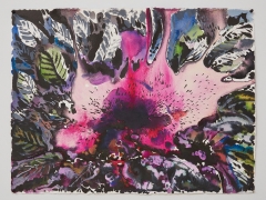 sun xun sean kelly gallery