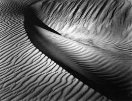 Brett Weston