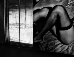 Daido Moriyama: Now and Now