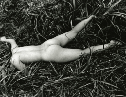 Daido Moriyama