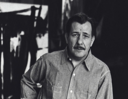 Fred W. McDarrah: The Artist's World