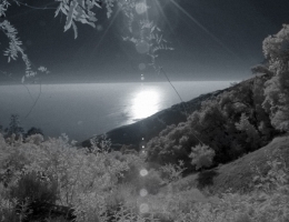 Lou Reed: Romanticism