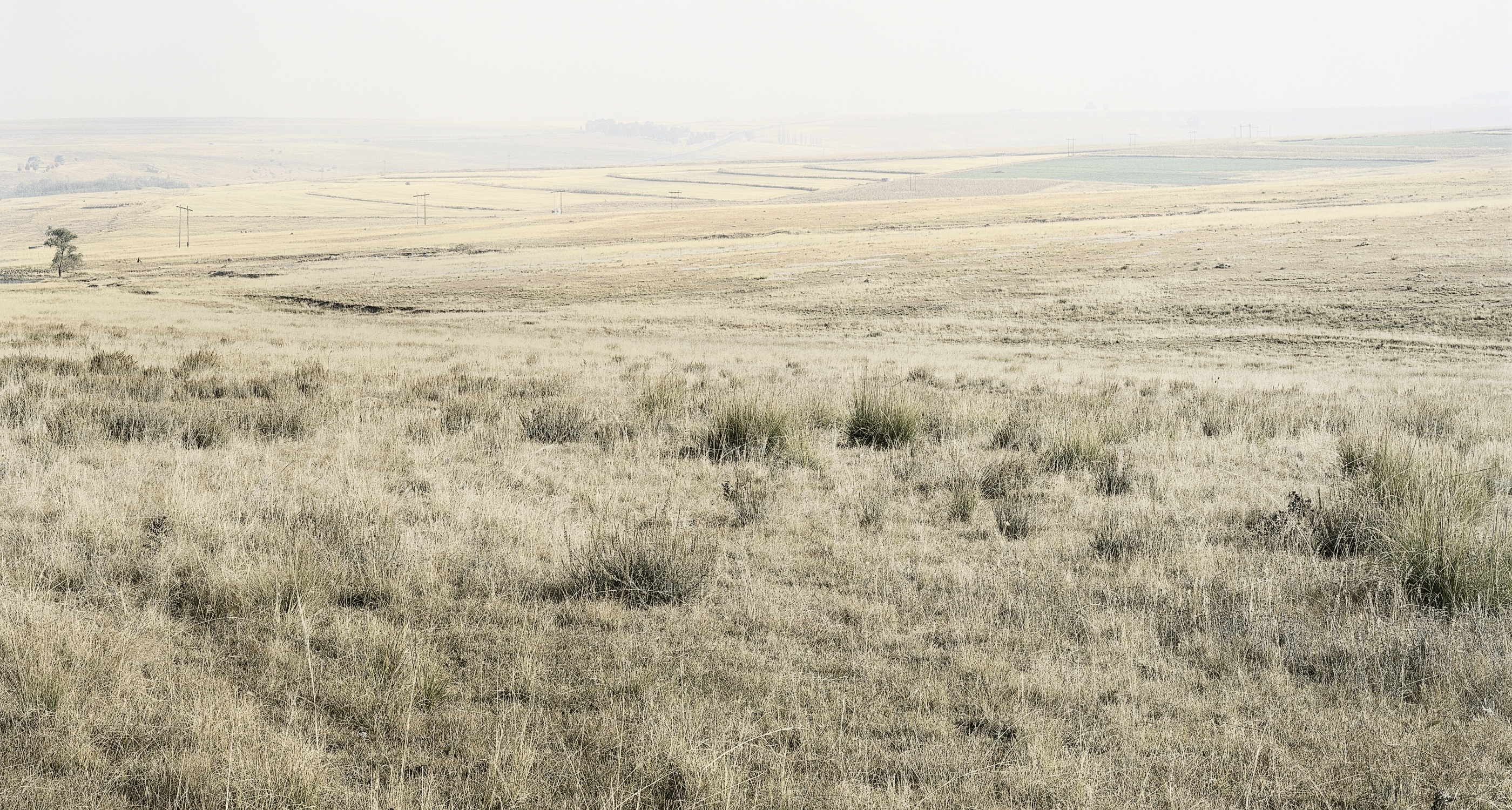David Goldblatt | Markers of Presence