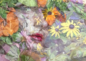 FIRST IMPRESSIONS: New Works and New Acquisitions
