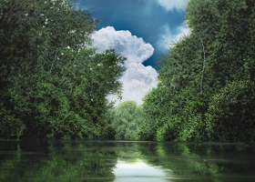 Tula Telfair: Reverie