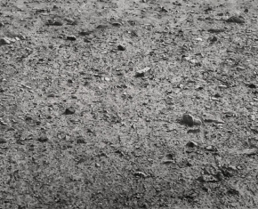 Vija Celmins