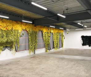Installation view of Borinquen Gallo hanging work