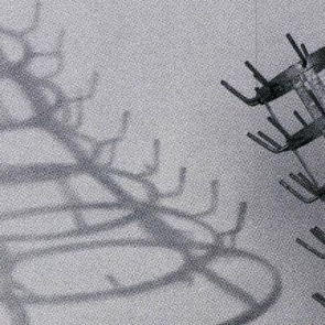 Detail of Shadow of the Bottle Rack by André Raffray