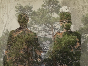 ARBORETUM
